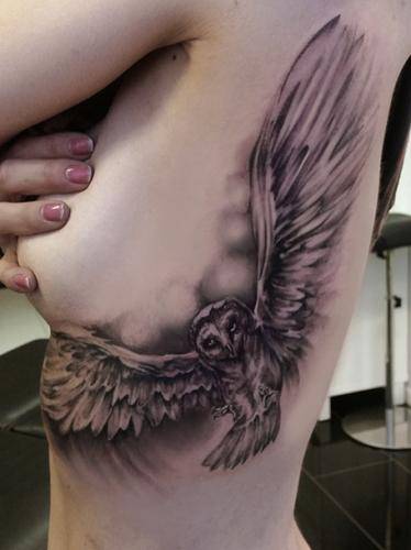 owl_20181214_1497634139