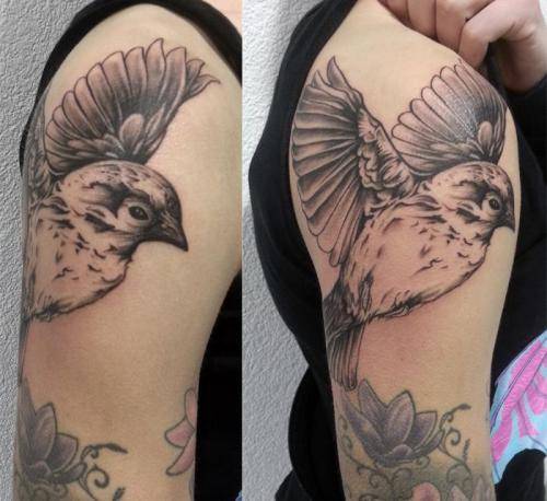 tatoo222_20160219_1898436193